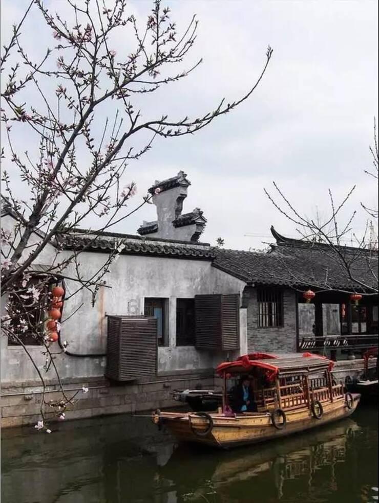 猫咪生气了,小鱼干都哄不了,怎么办?-问答类网站